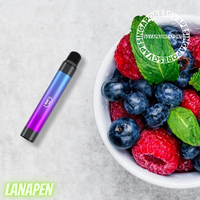 Looking for the Lana 2000 Disposable Vape (Lanapen 2k)? Visit our vape store in Singapore to get your hands on this popular vape device. Lanabar offers the Lana Disposable vape in various flavors, including grape and berry. Explore our SG vape options now.